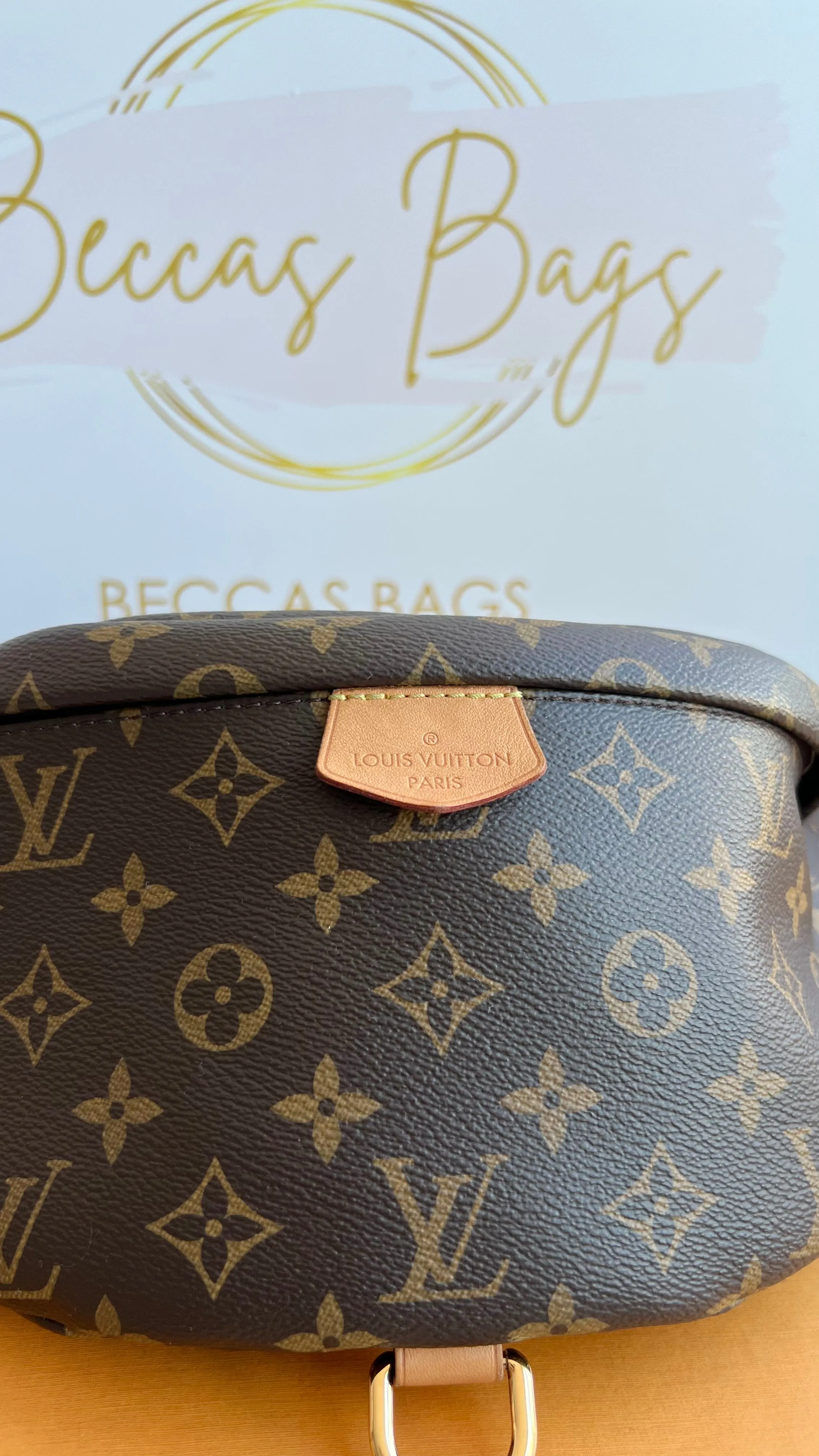 Louis Vuitton Bumbag