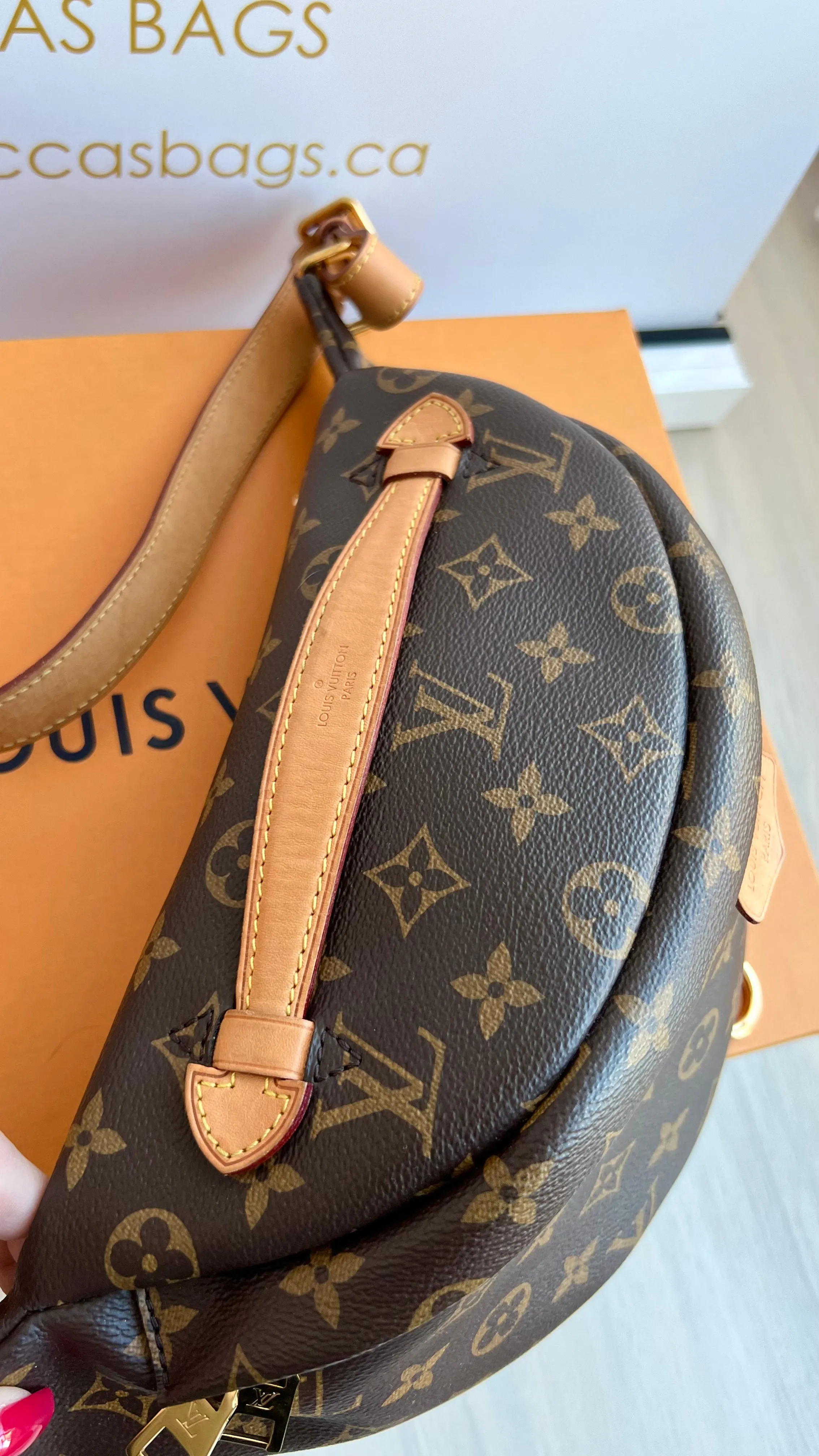 Louis Vuitton Bumbag