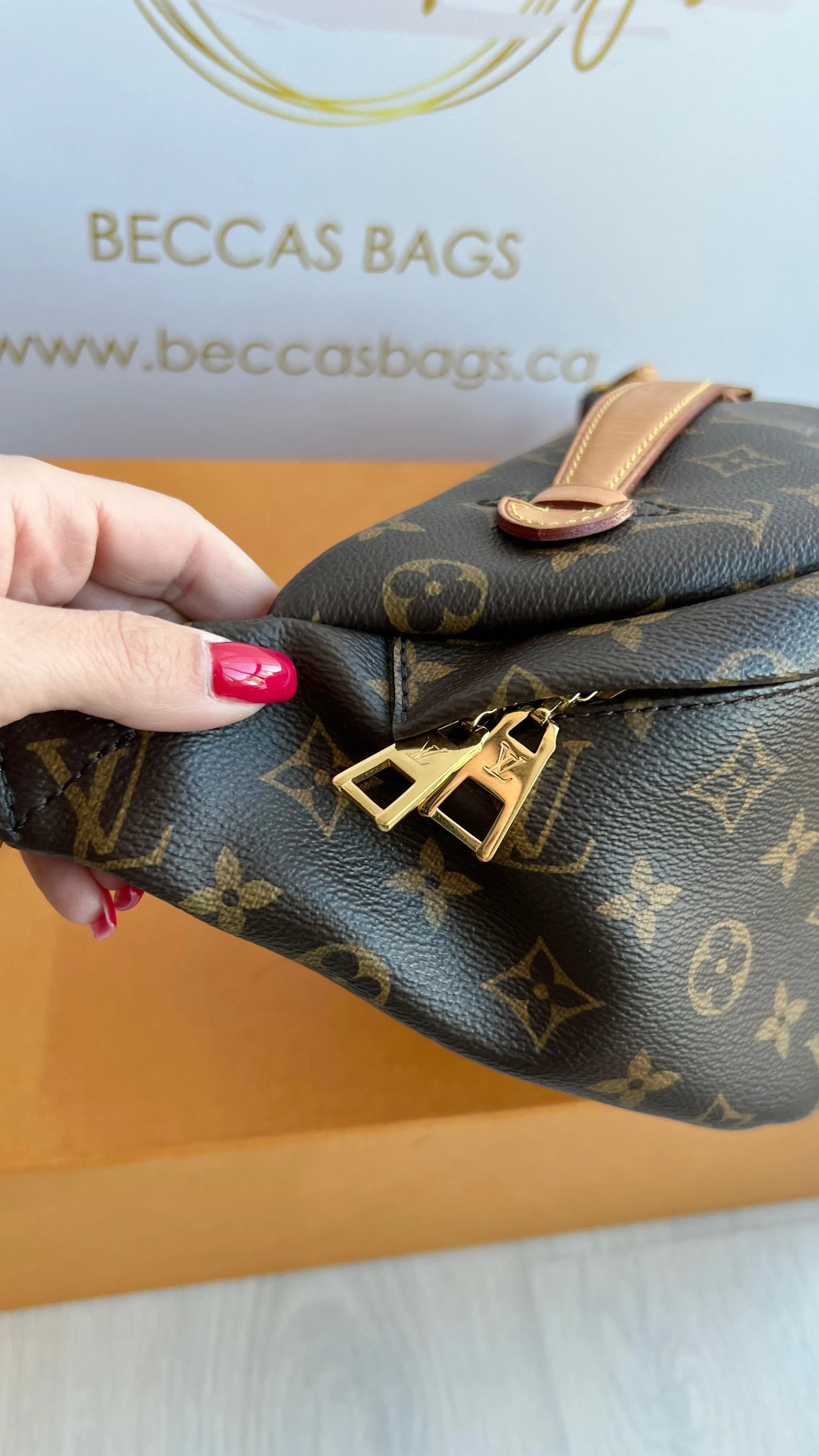 Louis Vuitton Bumbag