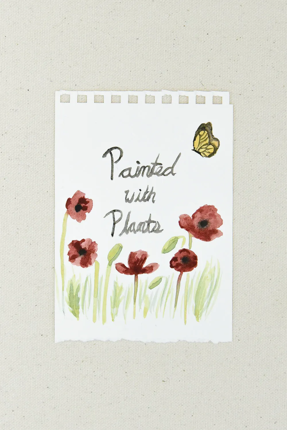 Plant-Based Watercolor Set